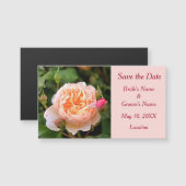 Blassorange Rose und Buds Save the Date Magnetkarte (Vorne/Hinten)