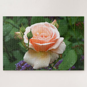 Blassorange Rose und Regentropfen Puzzle