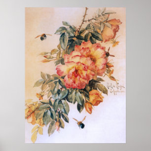 Blassorange Rose Vintage Poster
