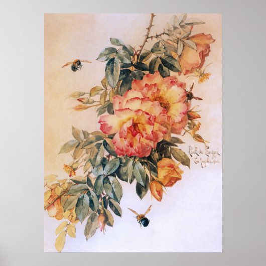 Blassorange Rose Vintage Poster (Vorne)