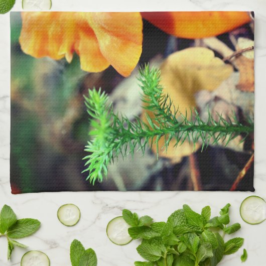 Blassorange Wildpilze Nah Geschirrtuch (Gefaltet)