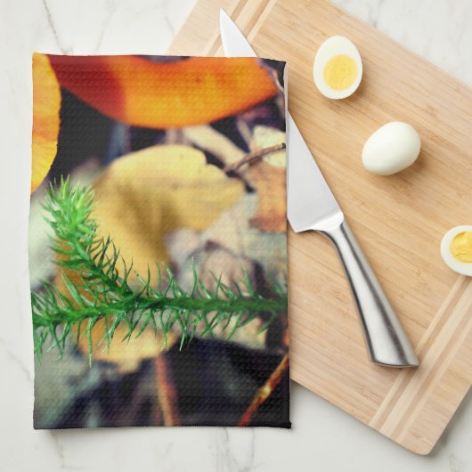 Blassorange Wildpilze Nah Geschirrtuch (Viertel Falte)