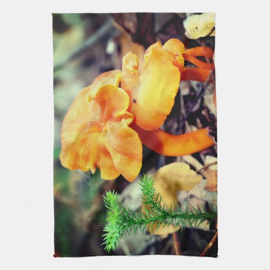 Blassorange Wildpilze Nah Geschirrtuch (Vertikal)