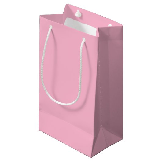 Blasspink Kleine Geschenktüte (Vorderseite Schrägansicht)