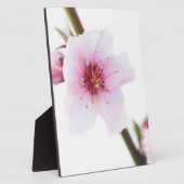 Blassrosa Blume Fotoplatte (Seite)