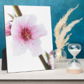 Blassrosa Blume Fotoplatte (Seite)
