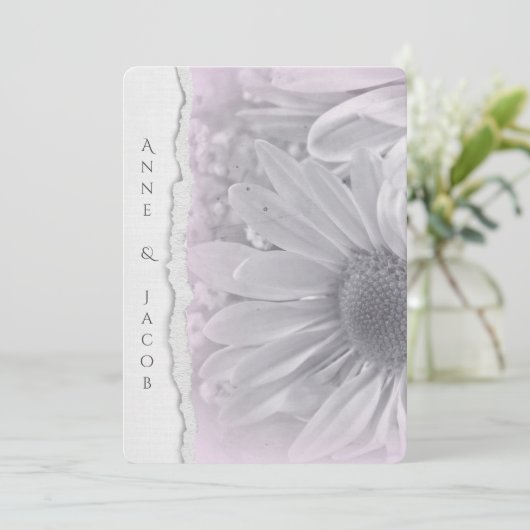 Blassrosa Daisy Makro auf abgerissenem Papier Einladung (Stehend Vorderseite)