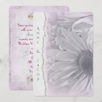 Blassrosa Daisy Makro auf abgerissenem Papier