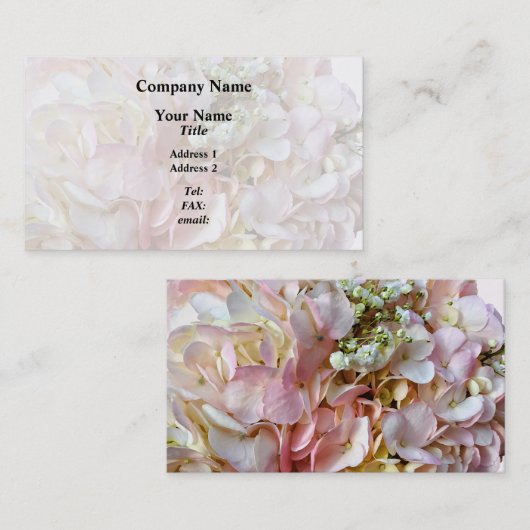 Blassrosa Hydrangea mit Babyatmung Visitenkarte (Vorne/Hinten)