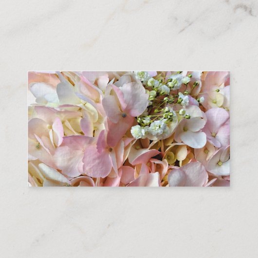 Blassrosa Hydrangea mit Babyatmung Visitenkarte (Rückseite)
