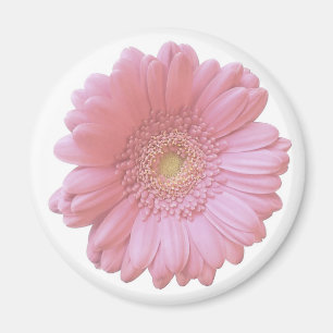 Blassrosa Magnet