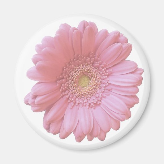 Blassrosa Magnet (Vorne)