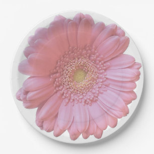 Blassrosa Pappteller