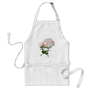 Blassrosa Pfingstrose und Knospe Schürze
