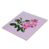 Blassrosa Rhododendron Fliese (Seite)