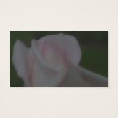 Blassrosa Rose Blume Business Card (Rückseite)
