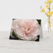 Blassrosa Rose mit Regentropfen Karte (Gelbe Blume)