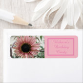 Blassrosa Sonnenblumenmarke (Insitu)