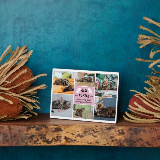 Blassrosa Wings Cat Paws Memorial Foto Collage Fotoplatte (Seite)