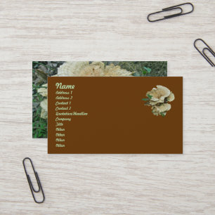Blassrost-Fungus-Coordinierungsposten Visitenkarte