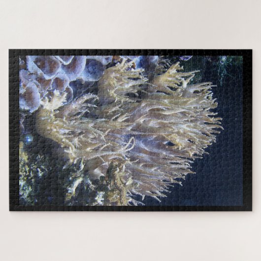 Blassweiße Koralle im dunklen Ozean Puzzle (Horizontal)