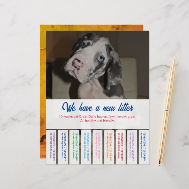 Blatt (Vorderseite/Rückseite Beispiel)