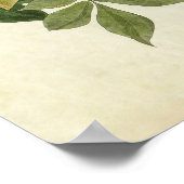 Blatt 101 | Raven | Vögel in Amerika Poster (Ecke)