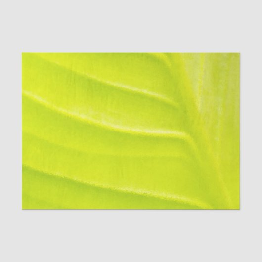 Blatt 10lb Tissue Paper Seidenpapier (Vorderseite)