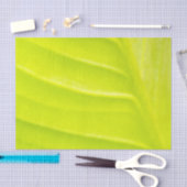 Blatt 10lb Tissue Paper Seidenpapier (Handwerk)