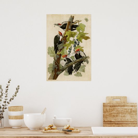 Blatt 111 | Fleckspecht | Vögel in Amerika Poster (Küche)