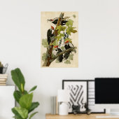 Blatt 111 | Fleckspecht | Vögel in Amerika Poster (Heimbüro)