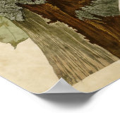 Blatt 111 | Fleckspecht | Vögel in Amerika Poster (Ecke)