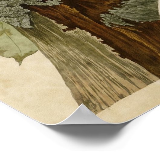 Blatt 111 | Fleckspecht | Vögel in Amerika Poster (Ecke)