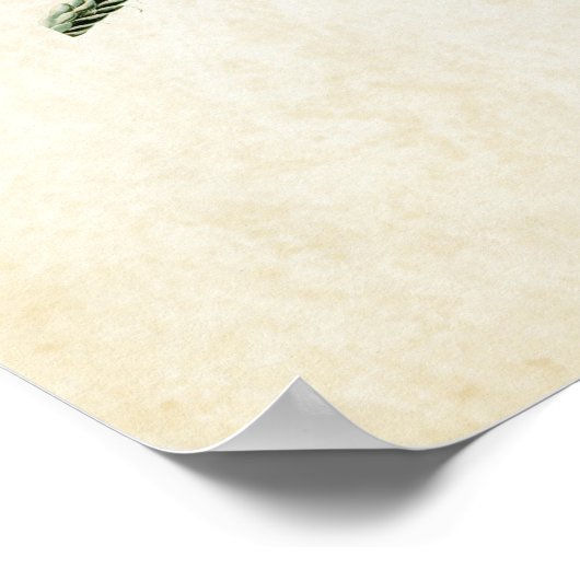 Blatt 113 | Bluebird | Vögel in Amerika Poster (Ecke)