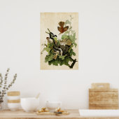 Blatt 116 | Ferruginous Thrush | Vögel in Amerika Poster (Küche)