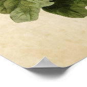 Blatt 116 | Ferruginous Thrush | Vögel in Amerika Poster (Ecke)