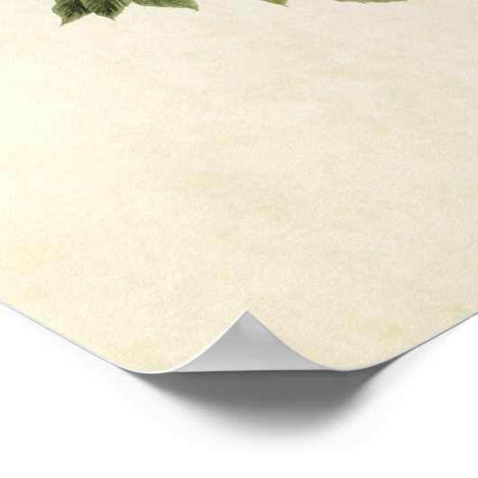 Blatt 128 | Katvogel | Vögel in Amerika Poster (Ecke)