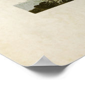 Blatt 149 | Scharfschwanzfinch | Vögel in Amerika Poster (Ecke)