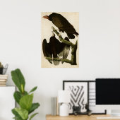 Blatt 151 | Turkey Buzzard | Vögel in Amerika Poster (Heimbüro)
