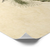 Blatt 152 | Schwarze Kappenlatte mit weißer Brusth Poster (Ecke)