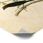 Blatt 157 | Rusty Grakle | Vögel in Amerika Poster (Ecke)