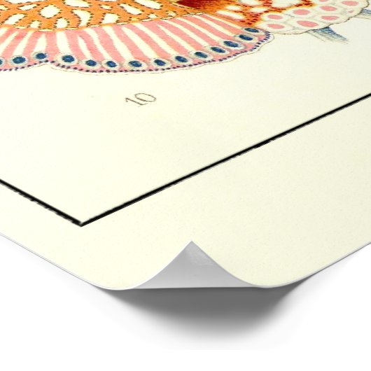 Blatt 17 Siphonophorae Poster (Ecke)