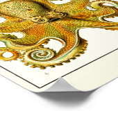 Blatt 54. Gamochonia. Poster (Ecke)