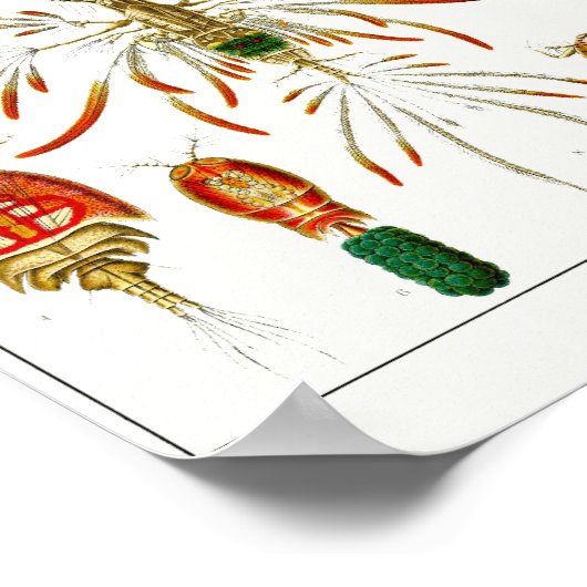 Blatt 56. Koppoden. Poster (Ecke)