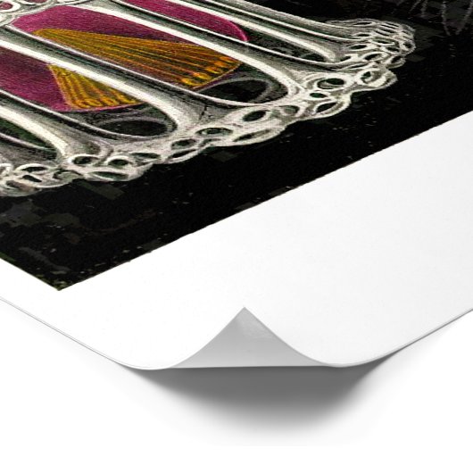 Blatt 71. Stephoidea Poster (Ecke)