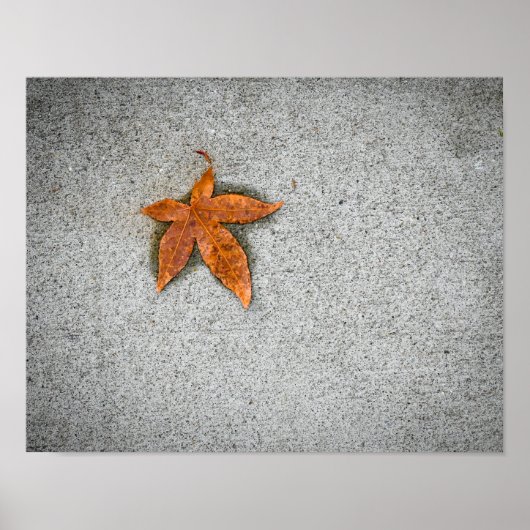 Blatt auf dem Bürgersteig Poster (Vorne)