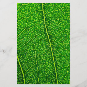 Blatt Briefpapier