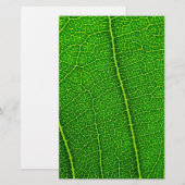 Blatt Briefpapier (Vorne/Hinten)