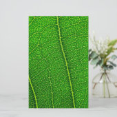 Blatt Briefpapier (Stehend Vorderseite)