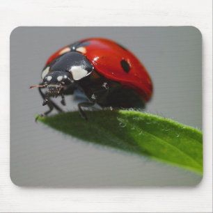 Blatt Damen-But On Edge Of Mousepad